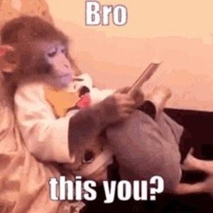 Meet your Posher, Milton